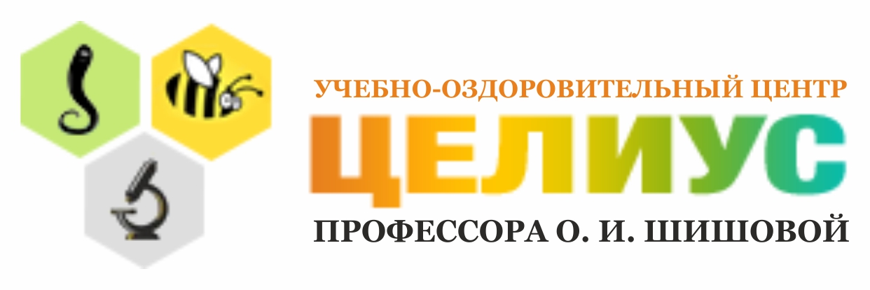 Целиус интернет магазин шишова каталог с ценами. ЦЕЛИУС Шишова. ЦЕЛИУС интернет магазин. Учебно оздоровительный центр ЦЕЛИУС. ЦЕЛИУС медицинский центр Шишовой.